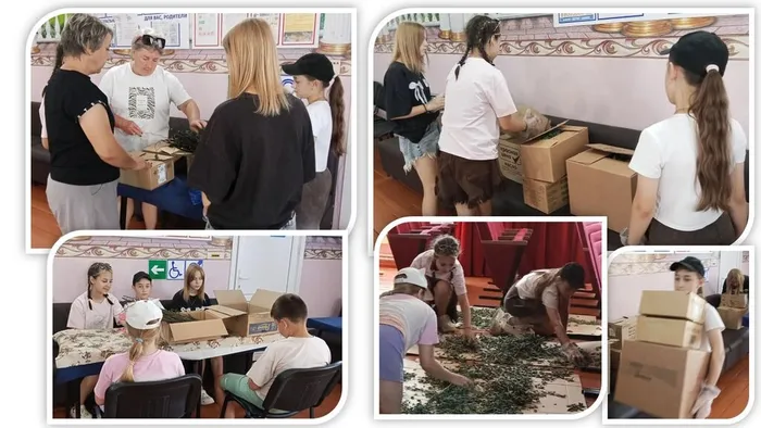 «День добрых дел» - час занятий в рамках акции "Фиточай для бойцов"