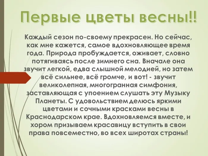 цветы весны