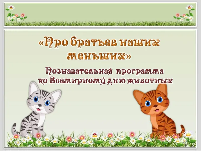 про братьев меньших