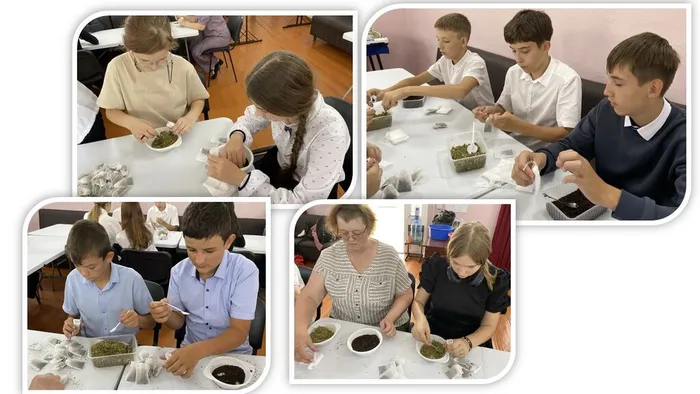 «Чай нашим!» - патриотическая акция